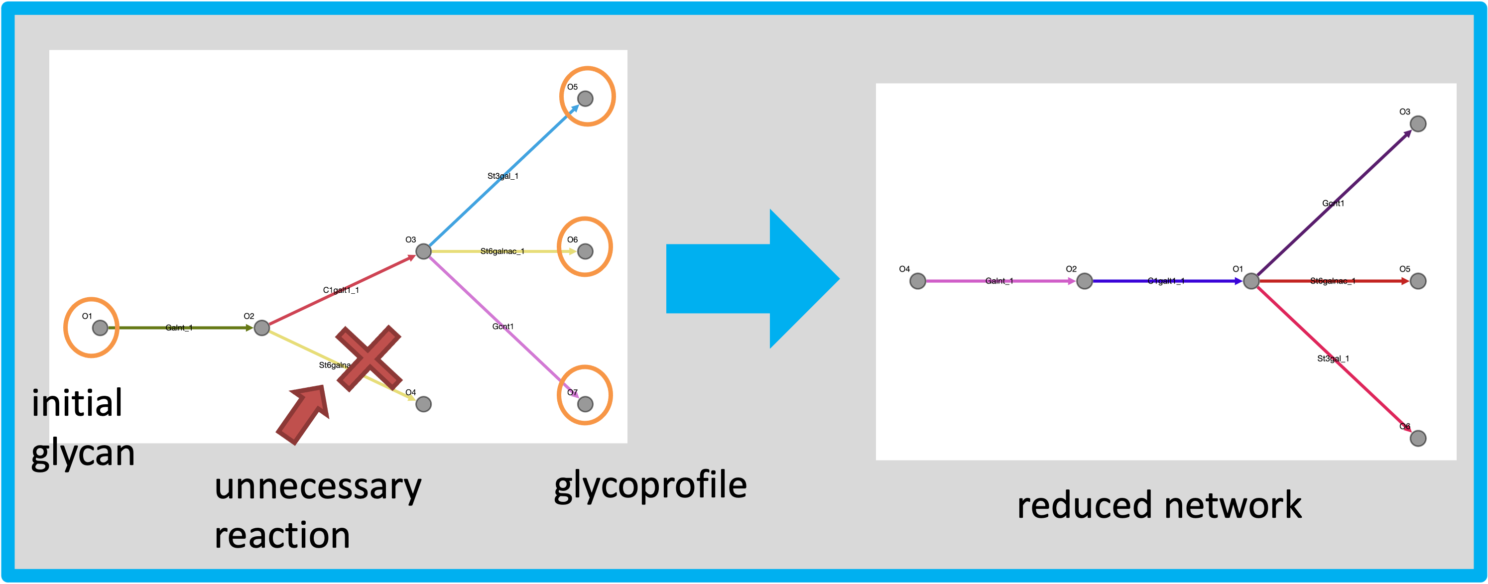 pruned network